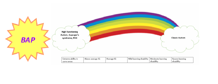 Broader autism phenotype