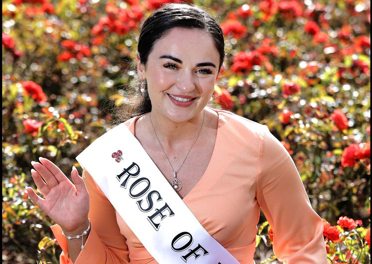 toronto rose – A Is For Aoife Not Autism